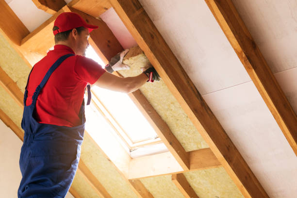 Best Blown-In Insulation  in Reminderville, OH